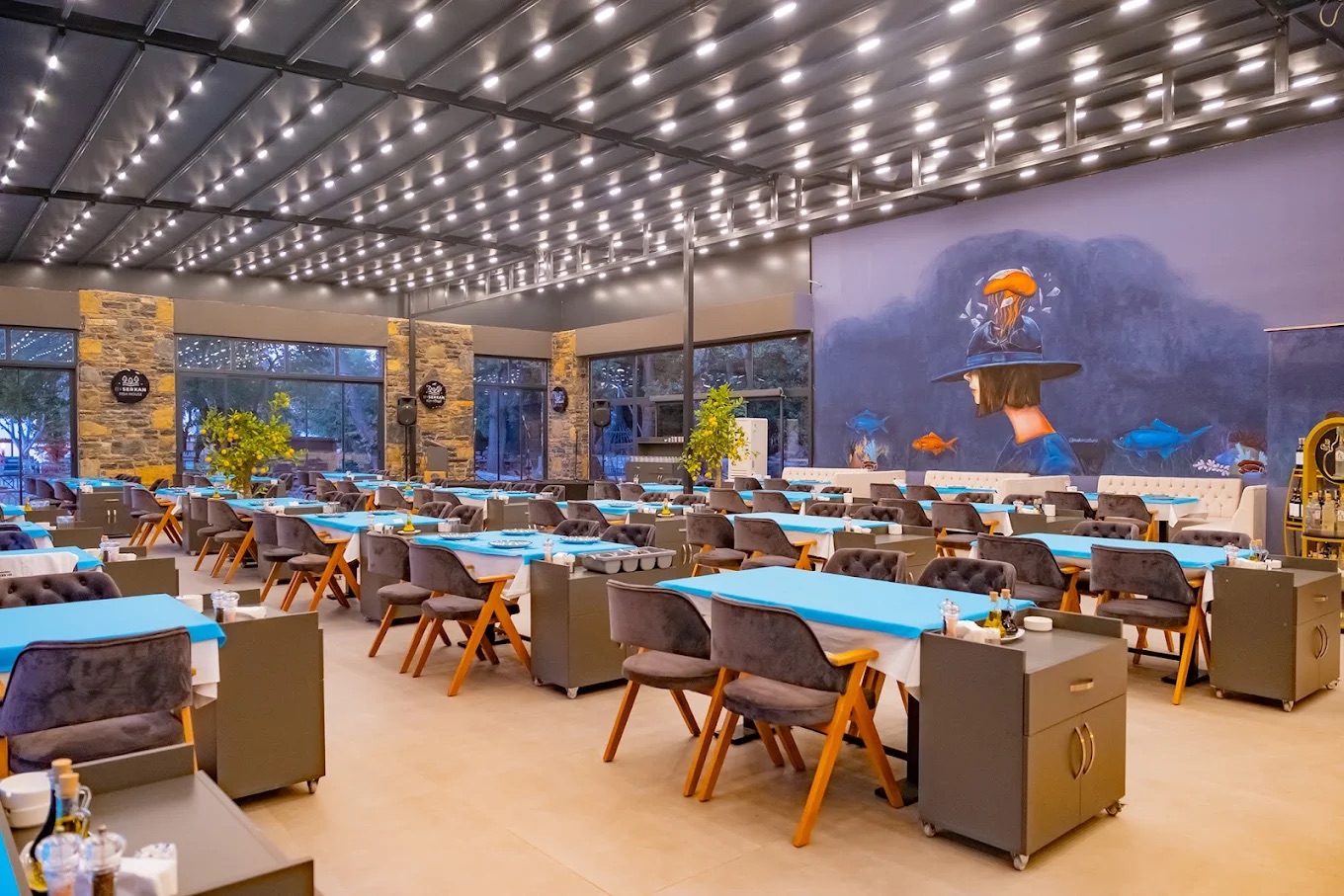 By Serkan Milli Park Fish House (Balık Restaurant)